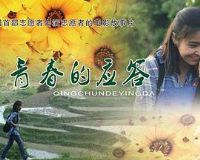 �ഺ��Ӧ��