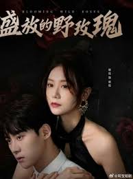 ʢ�ŵ�Ұõ��