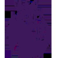 Ӣ�� ������vs����ķ20250816