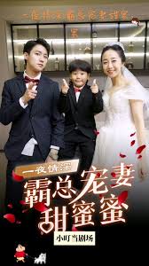 ���ܳ���������