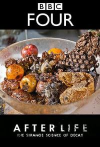 ����ѭ��������ĸ��ÿ�ѧ