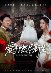 ����ȼ������