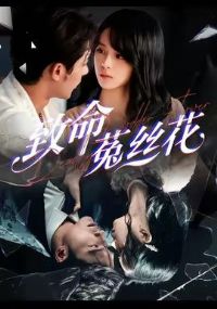 ������˿��