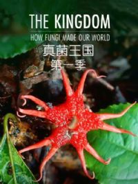 ���������һ��