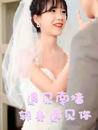 ������ǽת��������