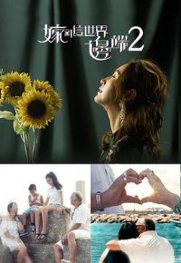 �޵�������߶�2